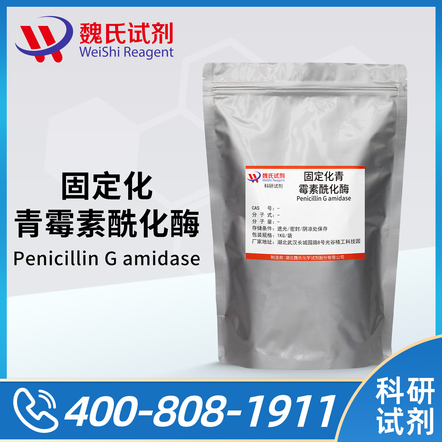 Penicillin G amidase