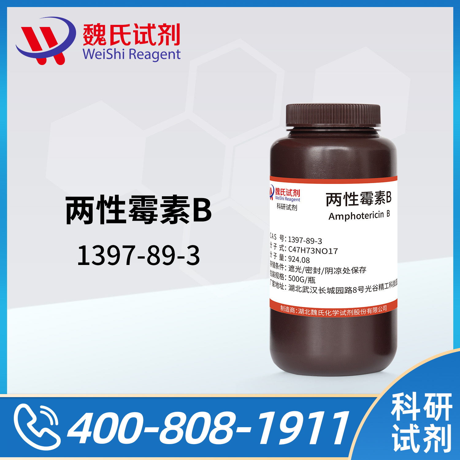 Amphotericin B