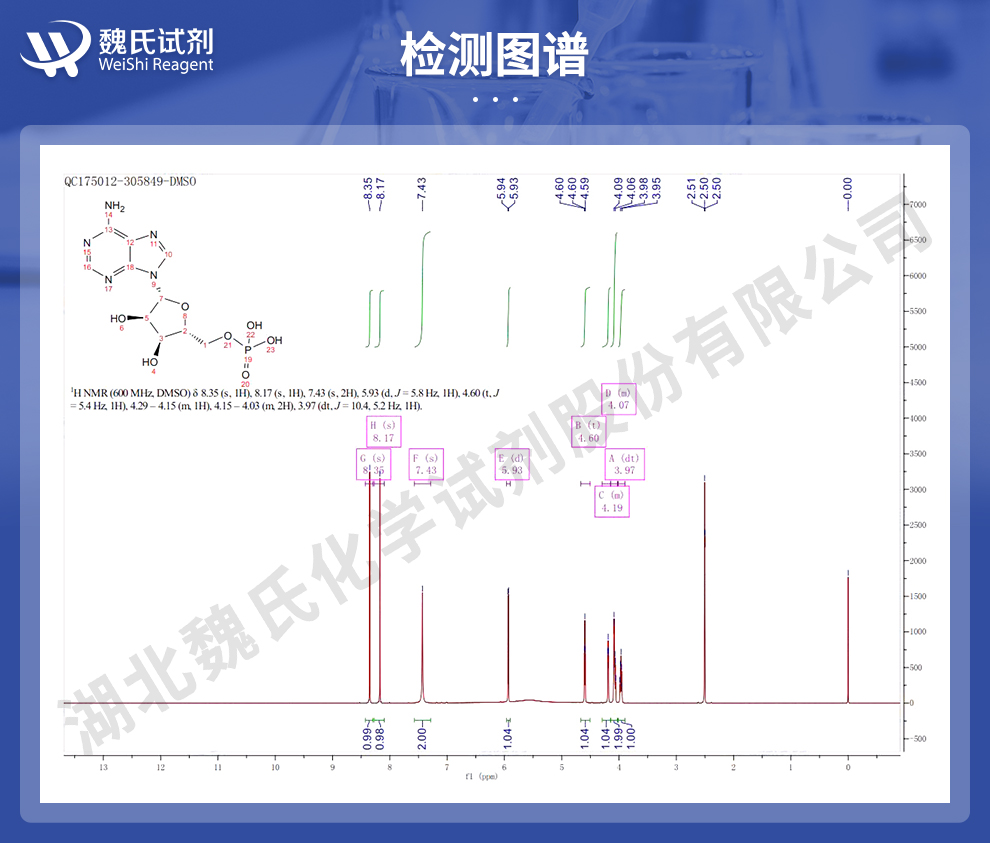 5'-磷酸腺苷；5'-腺苷酸；5-磷酸腺苷；5’-AMP光谱