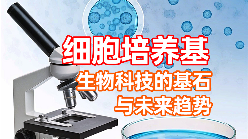 细胞培养基：生物科技的基石与未来趋势