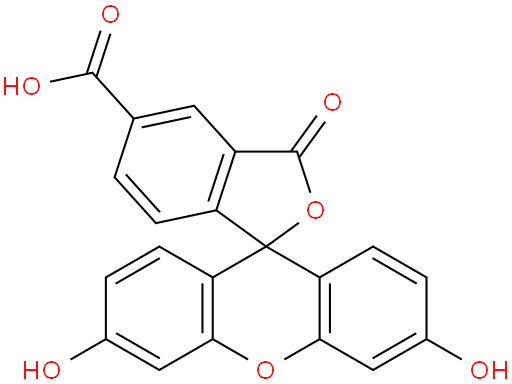 5-羧基荧光素