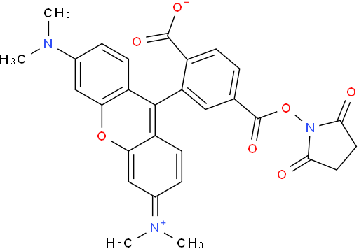 6-羧基四甲基罗丹明琥珀酰亚胺酯