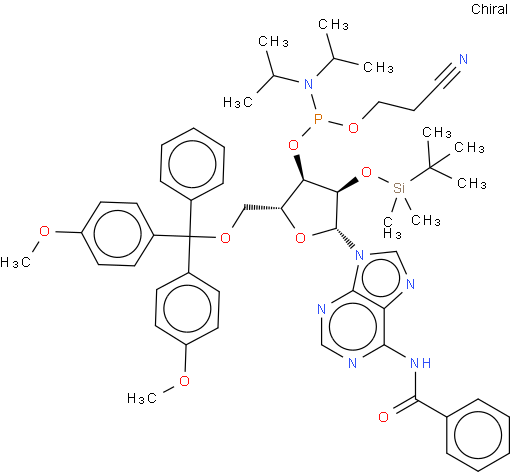 N-苯甲酰基-5'-O-(4,4-二甲氧基三苯甲基)-2'-O-[(叔丁基)二甲基硅基]腺苷-3'-(2-氰基乙基-N,N-二异丙基)亚磷酰胺
