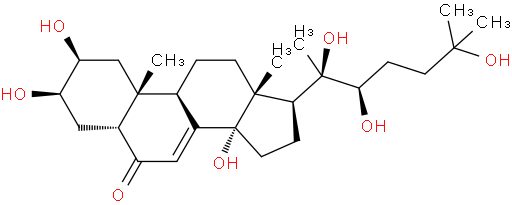 蜕皮激素；露水草提取物