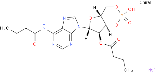 二丁酰环磷腺苷钠;DB-cAMP