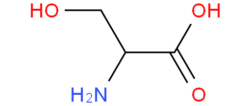 丝氨酸