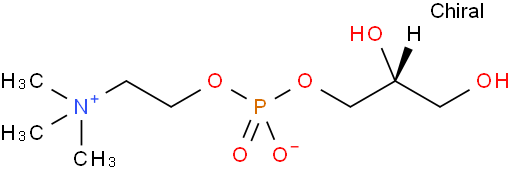 甘磷酸胆碱；甘油磷酰胆碱；甘油磷酸胆碱；GPC-99%粉末