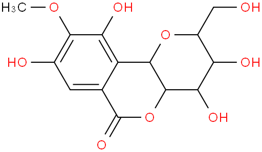 岩白菜素