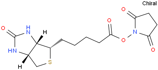 (+)-Biotin N-hydroxysuccinimide ester