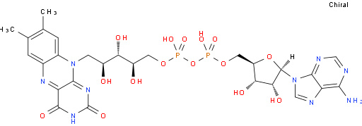 FLAVIN ADENINE DINUCLEOTIDE