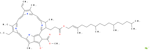 Chlorophylls