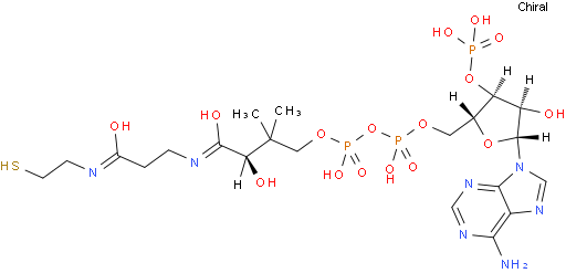 Coenzyme A