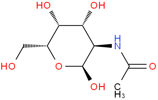 N-乙酰基-D-氨基半乳糖；2-乙酰胺基-2-脱氧-D-半乳糖