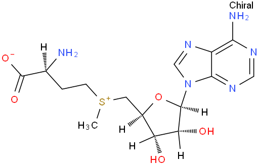 丁二磺酸腺苷蛋氨酸