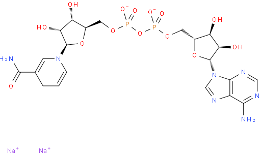 β-烟酰胺腺嘌呤二核苷酸二钠盐；β-烟酰胺腺嘌呤二核苷酸；NADH；还原型辅酶I