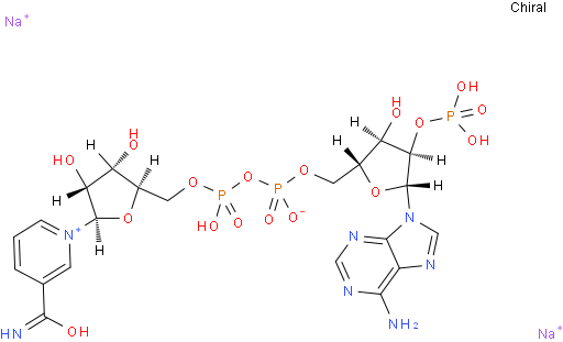 beta-烟酰胺腺嘌呤二核苷酸磷酸二钠盐