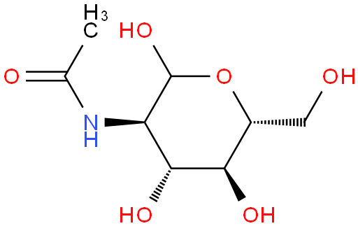 N-乙酰氨基葡萄糖