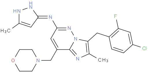 3-(4-氯-2-氟苄基)-2-甲基-N-(5-甲基-1H-吡唑-3-基)-8-(N-吗啉基甲基)咪唑并[1,2-b]哒嗪-6-胺