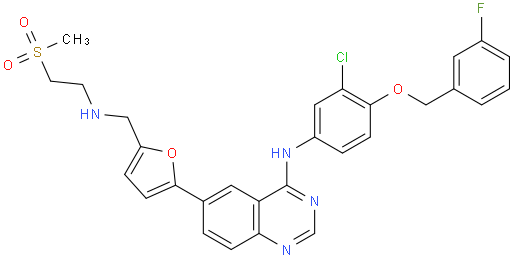 Lapatinib Base N-[3-chloro-4-[(3-fluorophenyl)methoxy]phenyl]-6-[5-[[[2-(methylsulfonyl)ethyl]amino]methyl]-2-furanyl]-4-Quinazolinamine