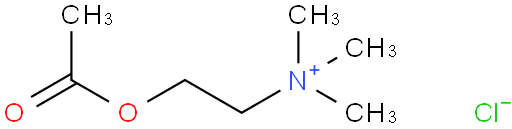 Acetylcholine chloride