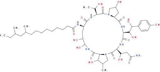 Pneumocandin A0